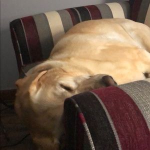 Meet your Posher, Nick